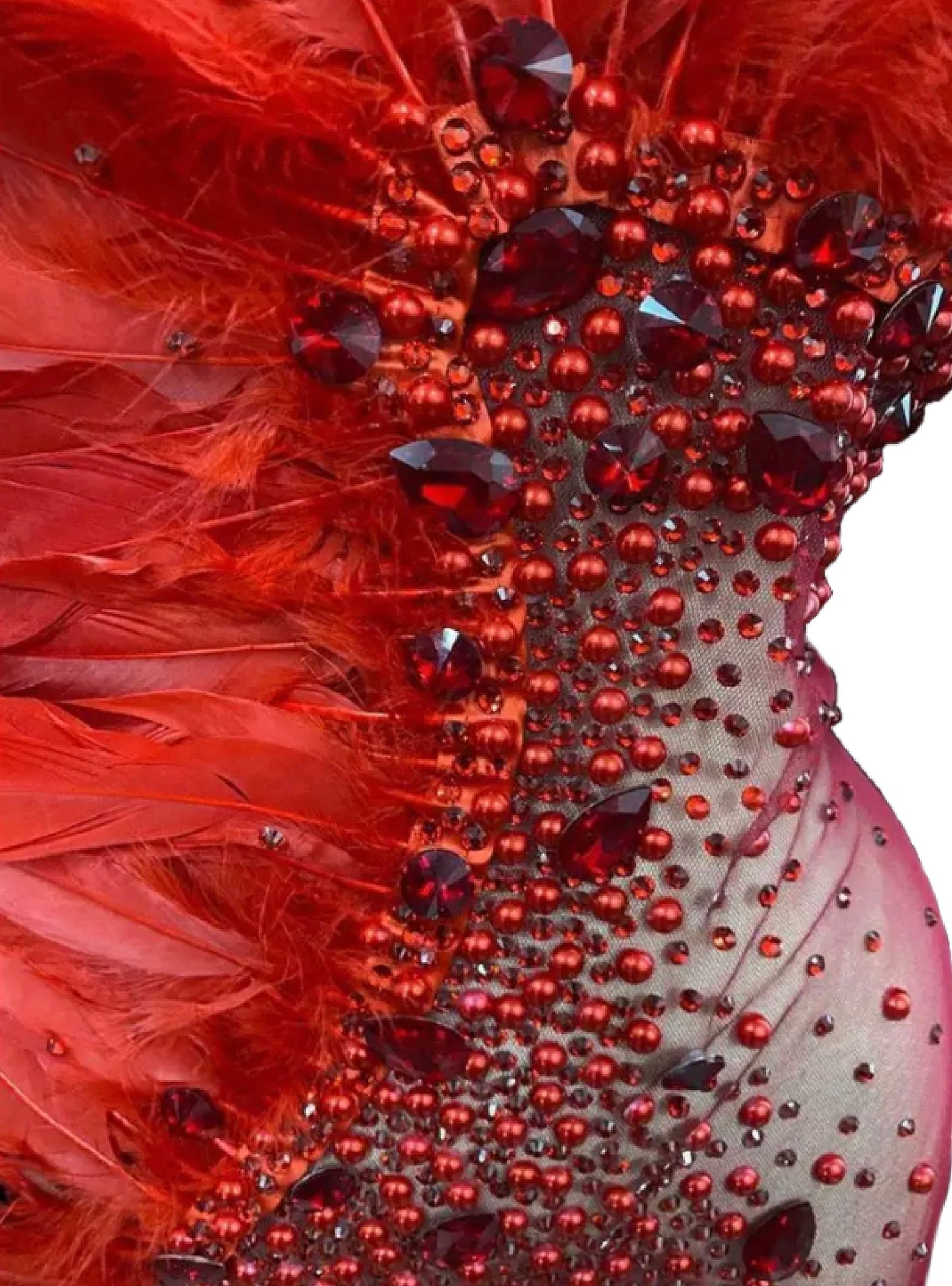 Ruffled Feathers Gown
